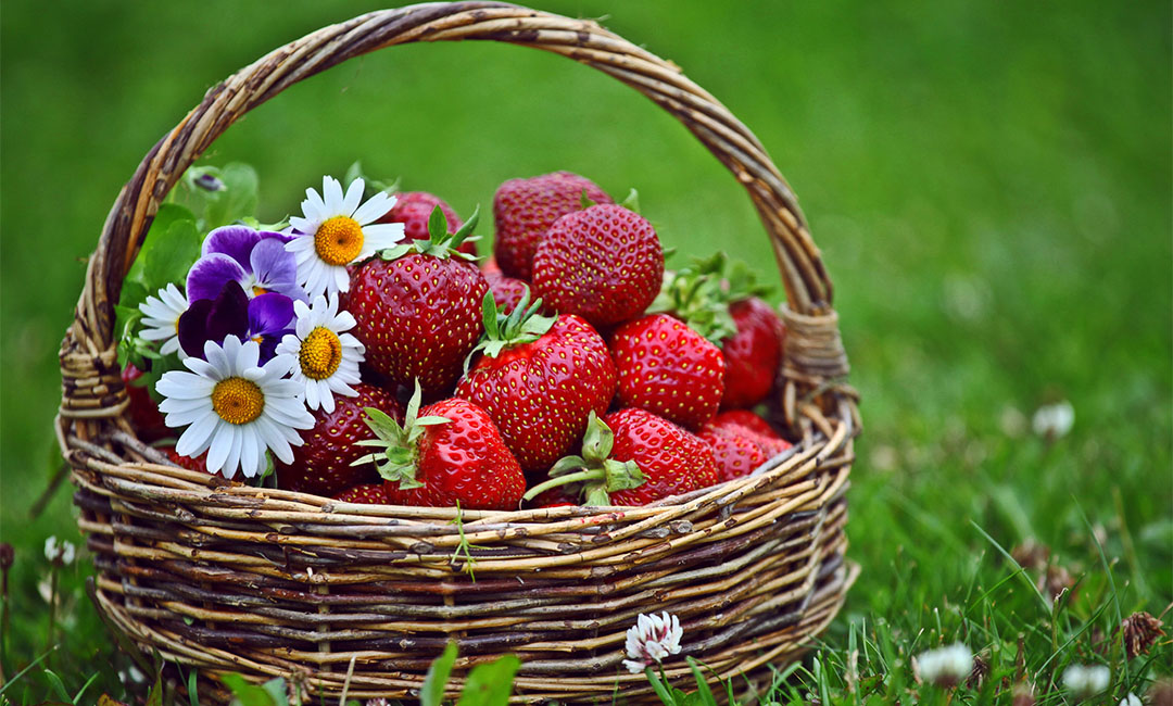 清远点呀点水果电商APP开发案例